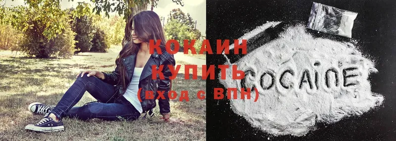 Cocaine Fish Scale  где продают наркотики  hydra ссылка  Адыгейск 